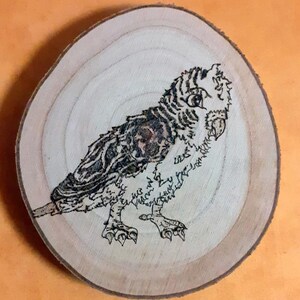 Pode incluir: Uma fatia de madeira com um desenho pirograbado de um pássaro. O pássaro tem padrões de penas detalhados em preto e castanho, com um olho de cor clara. A fatia de madeira tem uma cor castanha clara natural e uma forma circular.