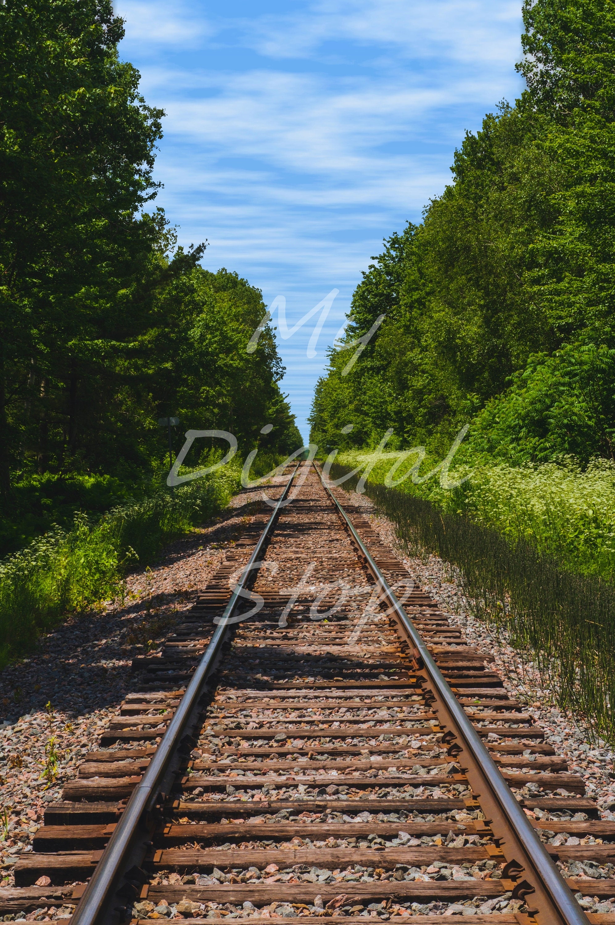 DIGITAL Backdrop JPG Photo Country Train Tracks Digital - Etsy