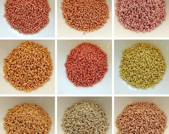 10 grams - 11/0 Miyuki Japanese Seed Beads - Duracoat Galvanized No. 4201-4209, Choose Color