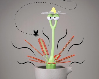 Reusable Sundew Trap for Flys and Gnats (Drosera Capensis)