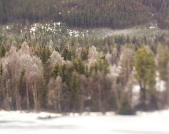 Oslo To Bergen Railway View From Train Tilt Shift Mountains & Forest Norway 5x7 inch Photo Print