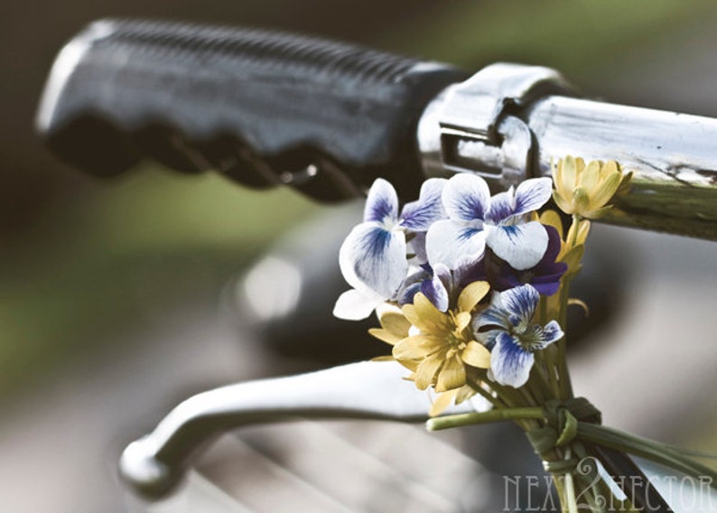 Bicycles And Bouquets 5x7 Inch Photographic Print image 1