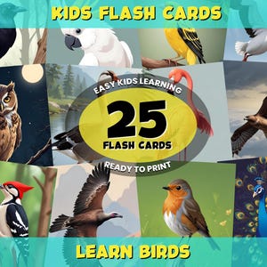 25 tarjetas de aves imprimibles con nombres / Descarga digital educativa para mayores de 3 años / Actividad de aprendizaje para preescolares y niños pequeños / Tarjetas didácticas para niños