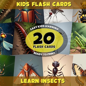 20 druckbare Karteikarten mit Insekten | Kinder lernen Bug Karten | Vorschulerziehung | Entomologie Montessori Karten | Digitaler Download