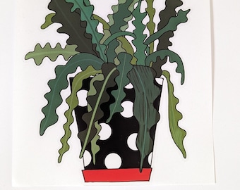 FISHBONE CACTUS -Illustrated pot plant vinyl window sticker by Hannah Broadway