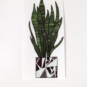 Snake Plant - illustrated pot plant window vinyl by Hannah Broadway