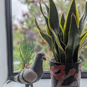 Snake Plant - illustrated pot plant window vinyl by Hannah Broadway