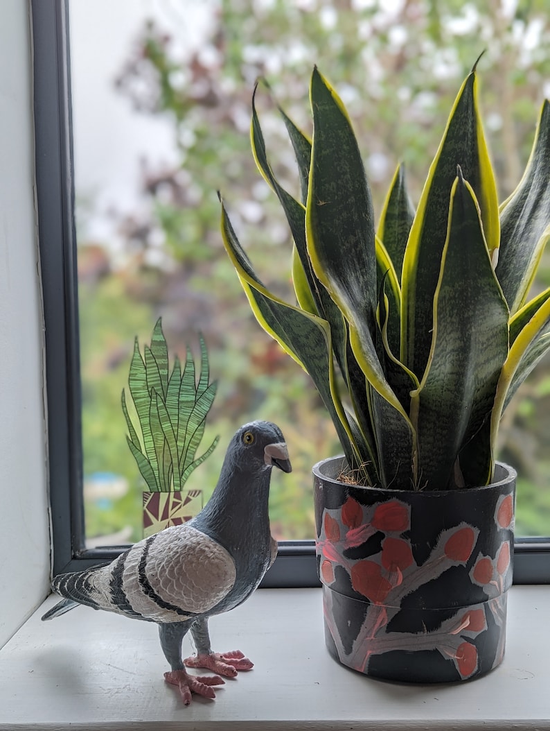 Snake Plant - illustrated pot plant window vinyl by Hannah Broadway