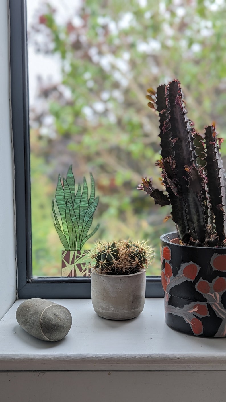 Snake Plant - illustrated pot plant window vinyl by Hannah Broadway