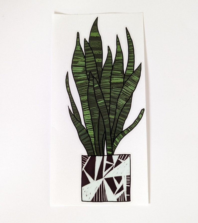 Snake Plant - illustrated pot plant window vinyl by Hannah Broadway