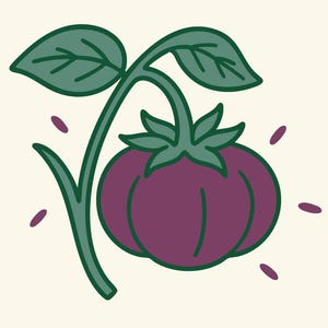 Cherokee Purple Tomato Seeds