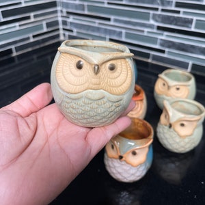 My shop's best seller, ready to ship. Pot only. Cute owl pots, drainage hole, perfect for 2" succulents, cacti. Home, office, decor, gift.