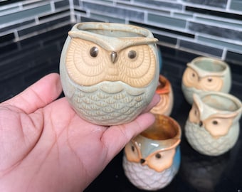 My shop's best seller, ready to ship. Pot only. Cute owl pots, drainage hole, perfect for 2" succulents, cacti. Home, office, decor, gift.