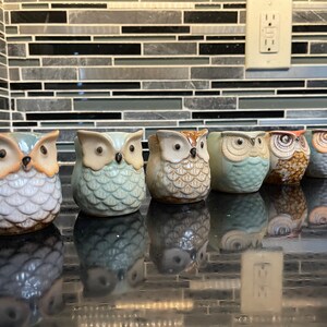 Cute Set 3 Vasi Per Piante Grasse A Forma Di Gufo Con Vassoio In Bambù – Ceramica Bianca Per Scrivania