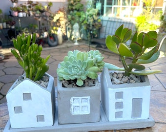 Live succulents in adorable stone cottage planter set. Housewarming gift. New home owner gift. Realtor thank you gift. Succulent lover.