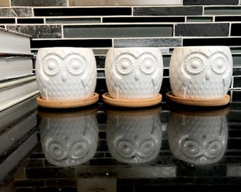 White ceramic owl planter pots, with tray/saucer, set of 3 or set of 6. Perfect for your succulents, cacti or herbs.