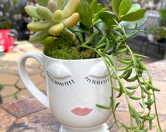 Lovely Ms Celfie vase with handle, with succulents! Buy with/without succulents. Succulents in vase with face.