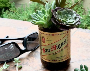 Upcycled beer bottle with succulents. Cool gift for a cool friend.