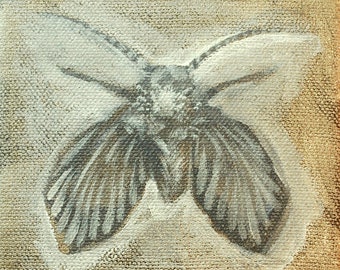 Original Small Moth Painting in Acrylic
