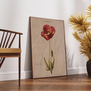 Red Poppy Botanical Print – Vintage Papaver Rhoeas Wall Art, Romantic Digital Flower Poster, Herbarium Style Printable for Gallery Wall