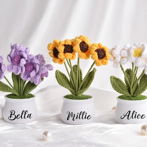 May include: Three crocheted flower arrangements in white pots. The flowers are purple, yellow, and white. The pots are labeled "Bella", "Millie", and "Alice".