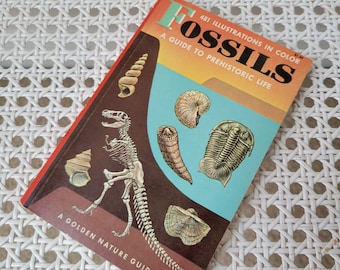 Fossils A Guide to Prehistoric Life Vintage Book 1962 First Edition, A Golden Nature Guide, Illustrated Reference, Natural History