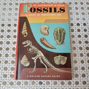 Fossils A Guide to Prehistoric Life Vintage Book 1962 First Edition, A Golden Nature Guide, Illustrated Reference, Natural History