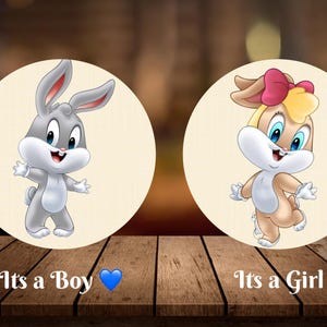 100 Baby Loney Tunes Printable Stickers – Digital Download