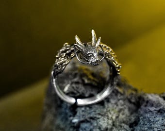 May include: A silver dragon ring with intricate detailing. The dragon's head is centered, with its body wrapping around the band. The ring is set against a blurred, dark background, highlighting the metallic sheen of the jewelry.