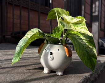 Snow Queen Pothos in Ceramic Dog Planter | Easy Care Houseplant
