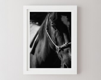 Impresión de caballo en blanco y negro, impresión fotográfica rústica de caballo del oeste: fotografía de caballos, decoración de granja
