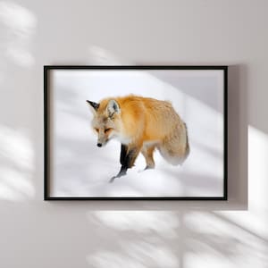 Red Fox in Snow – Minimalist Wildlife Photography Print, Arctic Nature Wall Art, Rustic Animal Decor