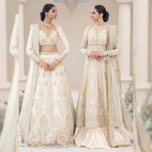 Embroidered Chiffon Lehenga Choli: Pakistani Indian Bridal Dress