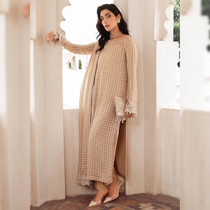 Pakistani Clay Beige Chiffon Suit Embroidered Salwar Kameez Designer Dress Long Kurti Ethnic Outfit Nikkah Mehendi EId Party Dress For Women