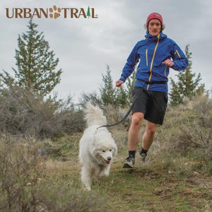 Urban Trail® Double Duty Leash - Hands-Free, Jogging, Running and Walking Dog Leash - Reflective, Shock-Absorbing, Handmade in the USA!