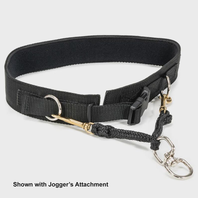 A product photo from high-angle front image of Alpine Outfitters Hands-Free Belt with the Jogger's Attachment