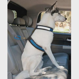 Car Seat Belt Restraint for Dogs - Handmade in the USA by Alpine Outfitters