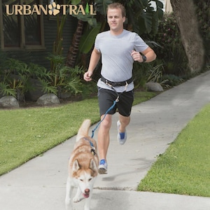 Hands-Free Dog Jogging Leash with Shock-Absorbing Bungee & Traffic Handle – Black, 4.5–5.5 ft, Optional Padded Handle - Handmade in USA