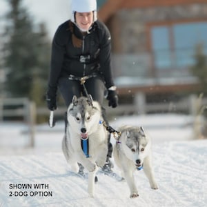 Op de afbeelding: Twee Siberische husky's trekken een persoon op ski's door de sneeuw. De honden dragen tuigjes en zijn met een lijn verbonden met de persoon. De persoon draagt een helm en zwarte winterkleding. Tekst onderaan luidt "SHOWN WITH 2-DOG OPTION."
