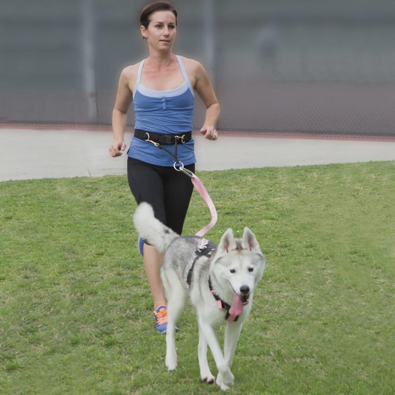 A photo of a woman walking one dog with Alpine Outfitters Hands-Free Belt with Jogger's Attachment and Urban Trail® Walking Leash, 5 ft., 1" width or 3/4" for Pups & Small Dogs