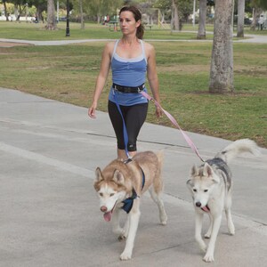 A photo of a woman walking two dogs with Alpine Outfitters Hands-Free Belt and Urban Trail® Walking Leash, 5 ft., 1" width or 3/4" for Pups & Small Dogs