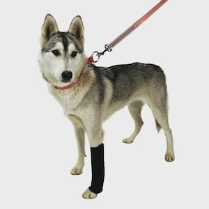 Canine Carpal Wraps: Neoprene Dog Leg Support - Handmade in USA