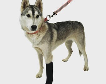 Canine Carpal Wraps: Neoprene Dog Leg Support - Handmade in USA