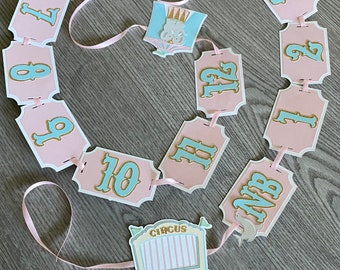 May include: Pink and white banner with blue numbers 1 through 12, a pink ribbon, and a small blue and white circus wagon with the word "CIRCUS" printed on it.