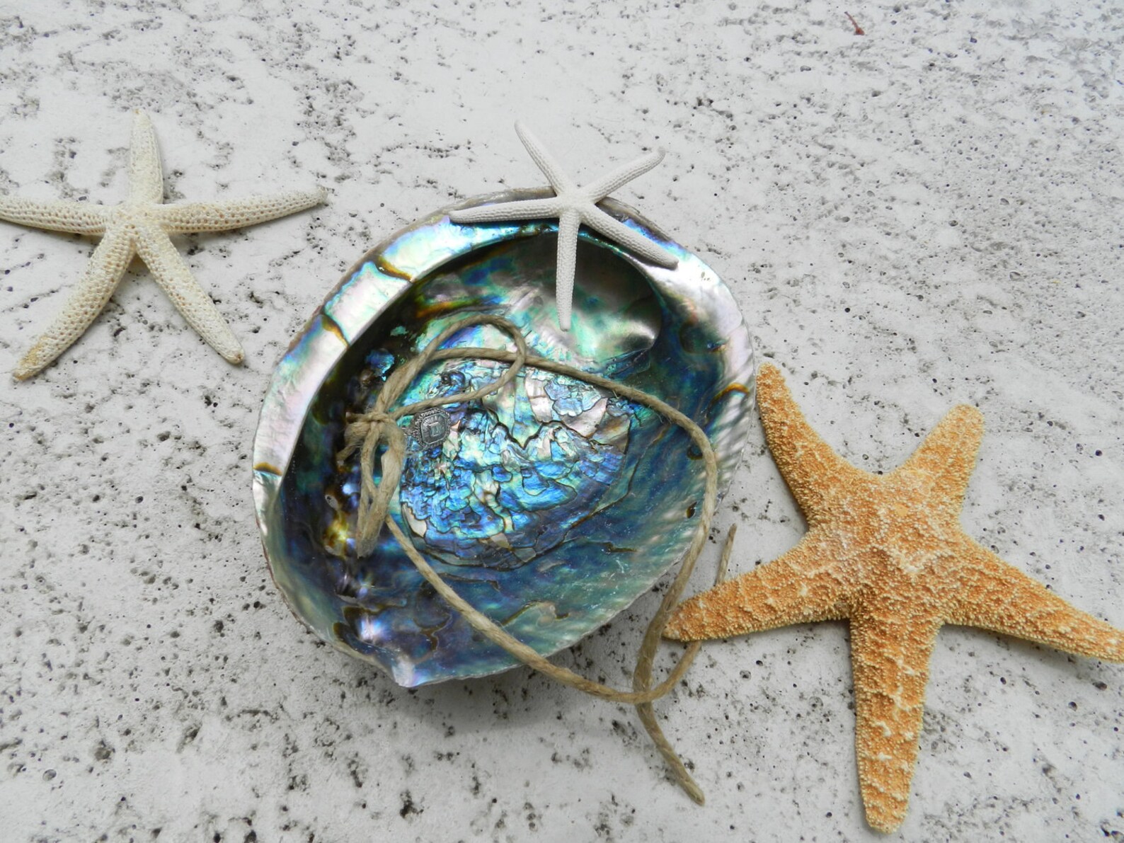 Abalone Seashell Ring Bearer Pillow Alternative Beach Theme Etsy