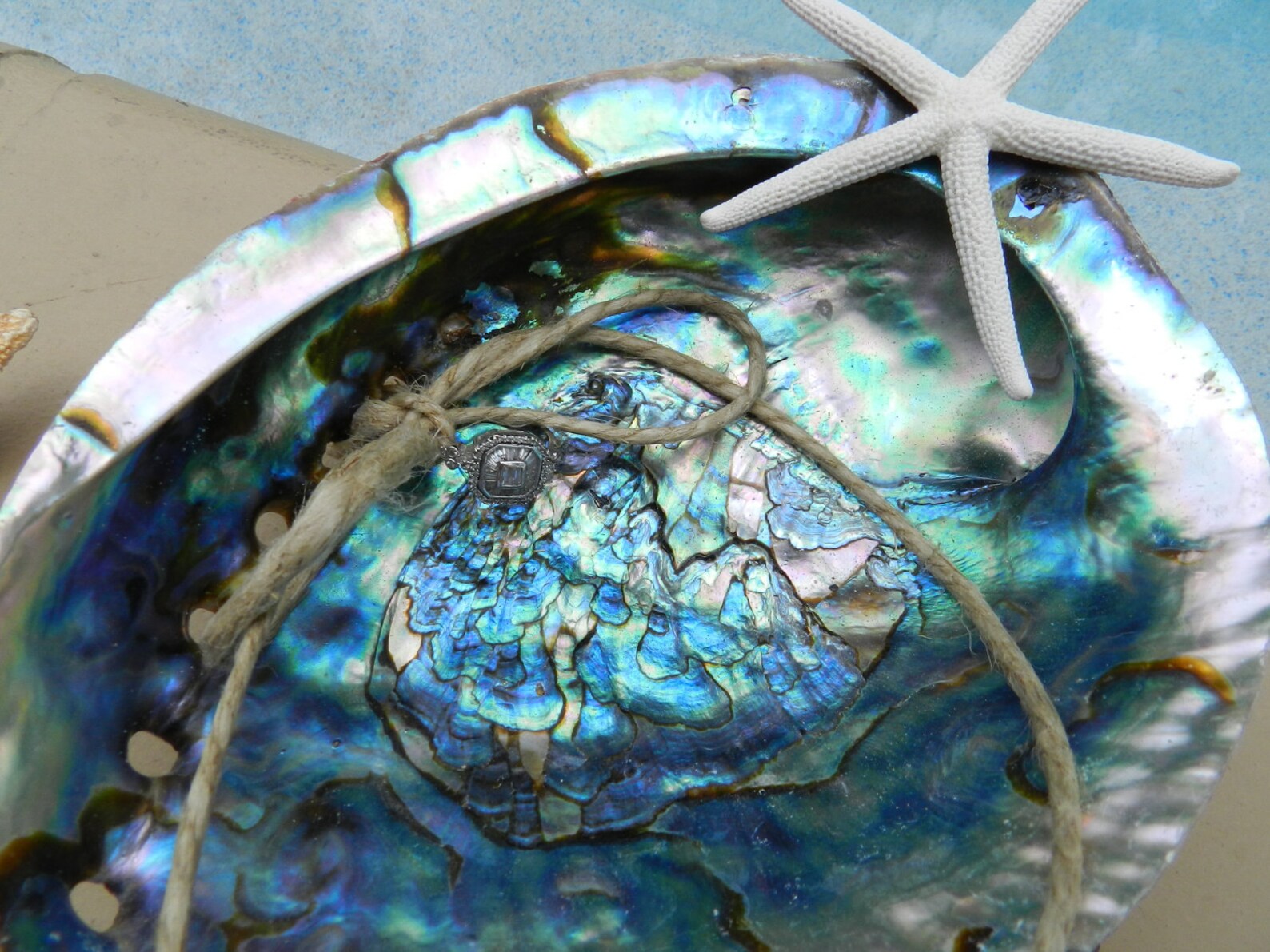 Abalone Seashell Ring Bearer Pillow Alternative Beach Theme Etsy