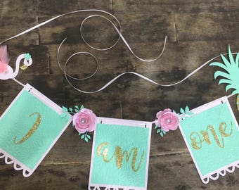 Puede incluir: Una pancarta verde y rosa con las palabras "I am one" en purpurina dorada. La pancarta está decorada con flores rosas y hojas verdes.