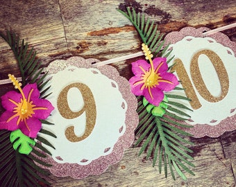 Tropical Milestone Banner: Luau Birthday, Hibiscus Flower