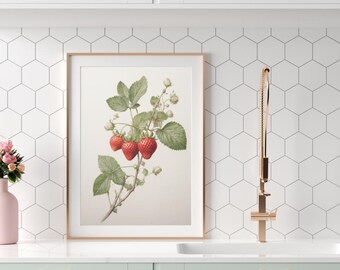 May include: A framed botanical print featuring a detailed illustration of strawberries with green leaves and white blossoms. The artwork has a light background and is set in a gold-colored frame. The print is displayed in a kitchen setting.