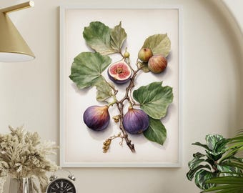 Vijgentak muurkunst - aquarel paars fruit print - mediterraan botanisch decor - direct downloaden, png
